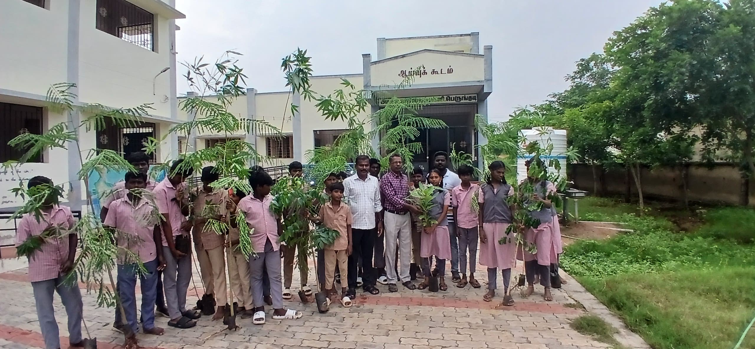 ENVIRONMENT & PLANTATION DRIVE